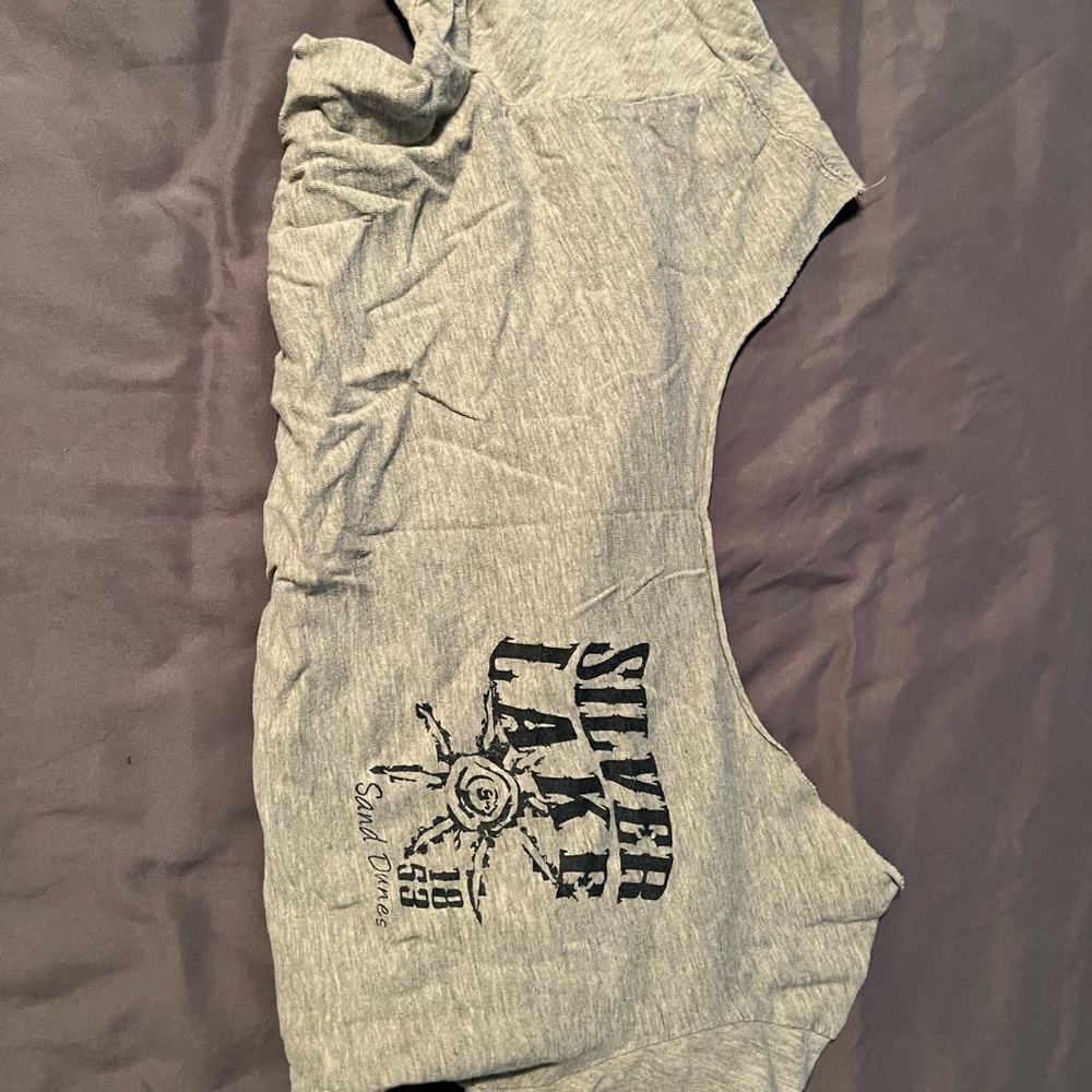 Silver Lake small crop top